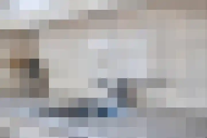 Oud Amelisweerd 6 Eindhoven thumbnail 19