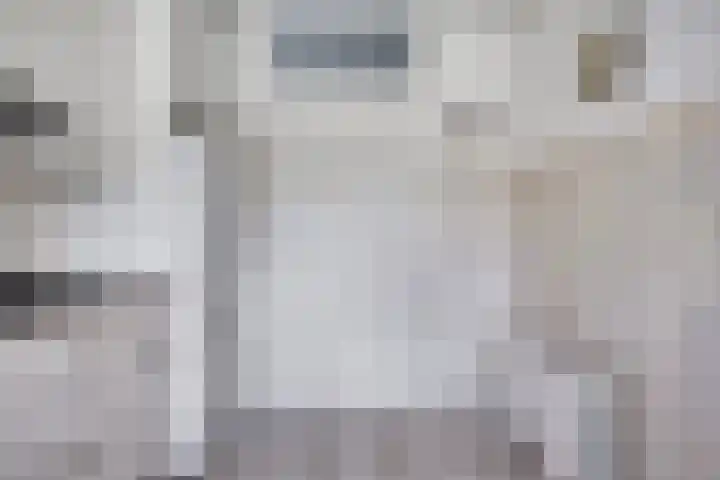 Oud Amelisweerd 6 Eindhoven thumbnail 20