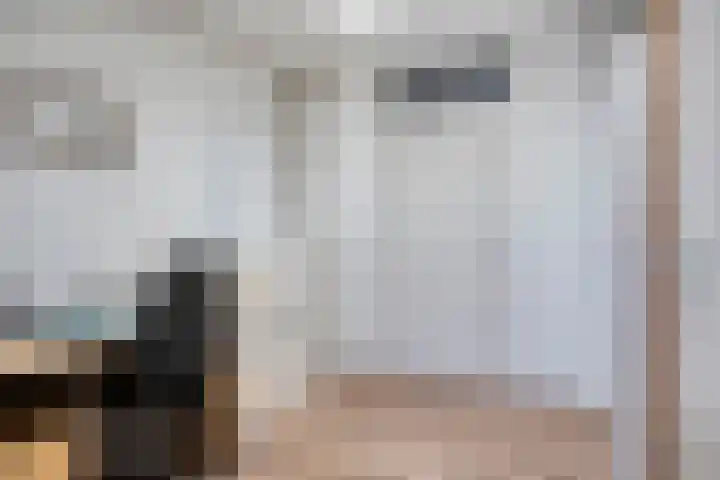 Oud Amelisweerd 6 Eindhoven thumbnail 27