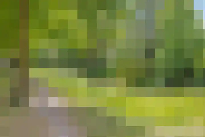 Oud Amelisweerd 6 Eindhoven thumbnail 34