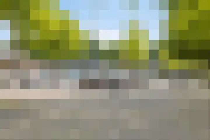 Oud Amelisweerd 6 Eindhoven thumbnail 35