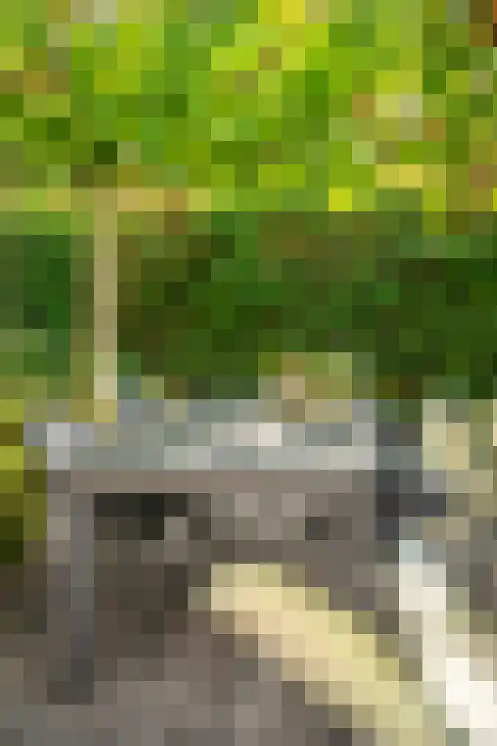 Oud Amstenraderweg 13 Brunssum thumbnail 25