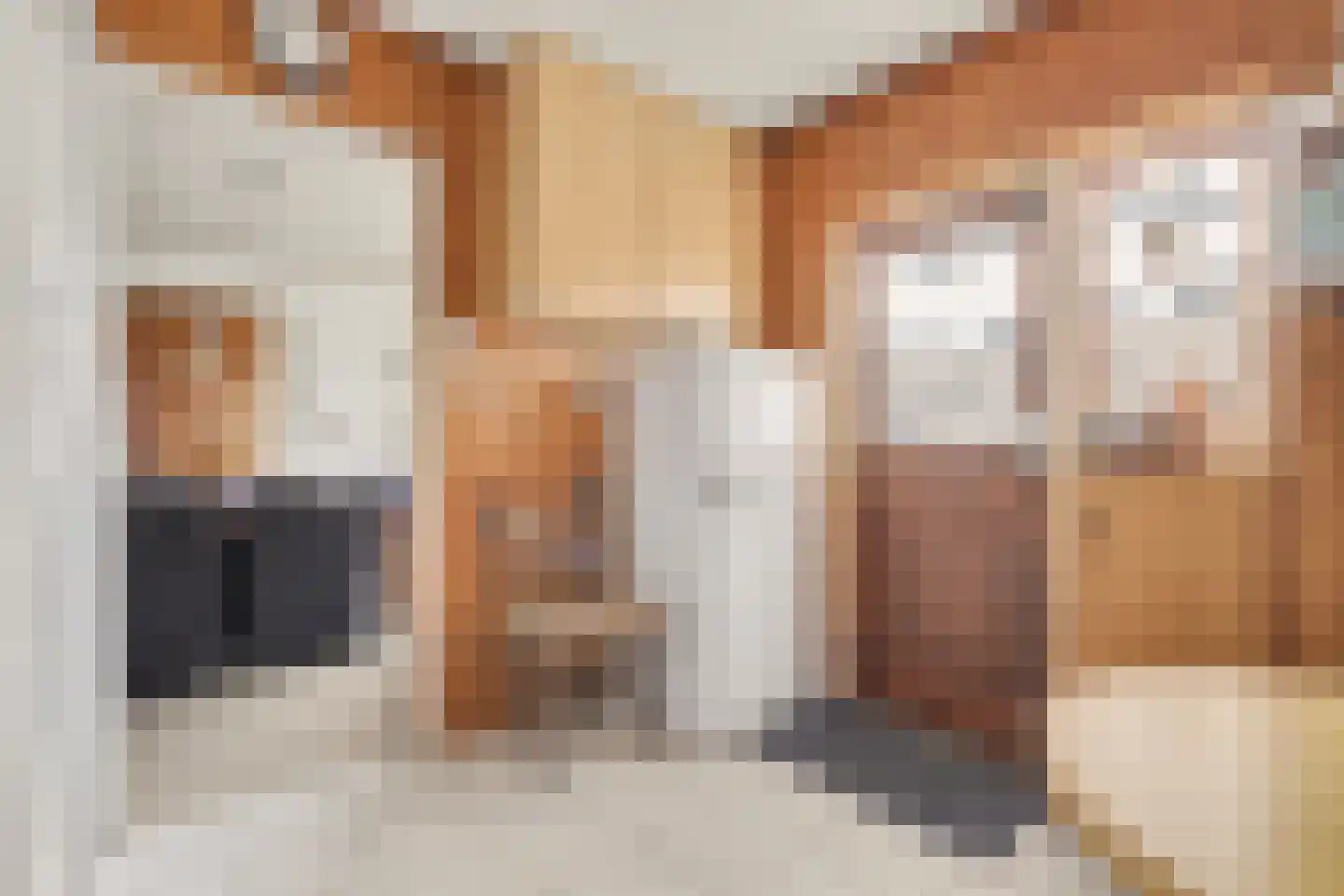 Oud Arnemuidsvoetpad 16 Middelburg thumbnail 14
