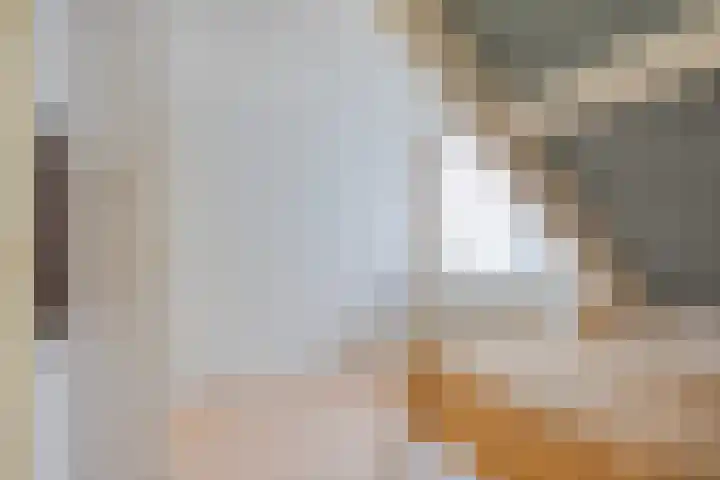 Oud Arnemuidsvoetpad 31 Middelburg thumbnail 22
