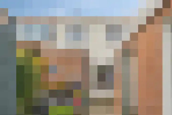 Oud Arnemuidsvoetpad 31 Middelburg thumbnail 26
