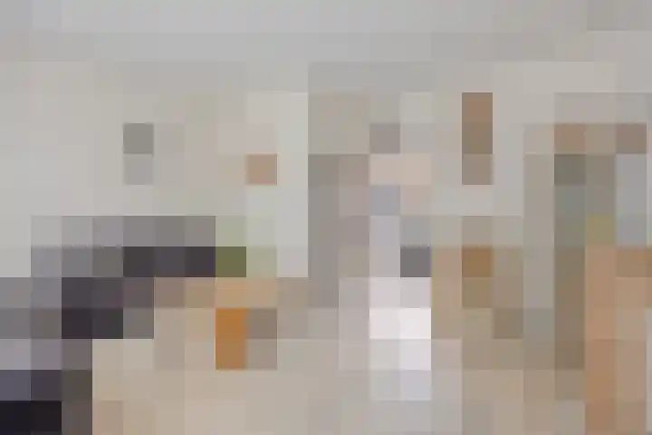 Oud Arnemuidsvoetpad 31 Middelburg thumbnail 7