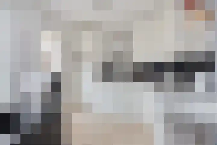 Oud Arnemuidsvoetpad 31 Middelburg thumbnail 8