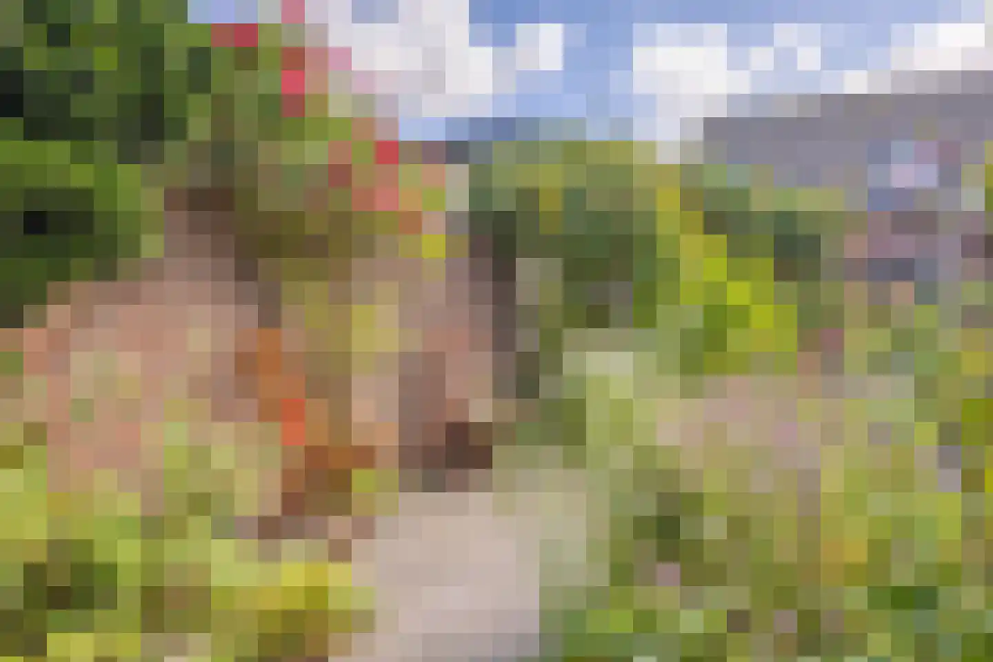 Oud Arnemuidsvoetpad 36 Middelburg thumbnail 22