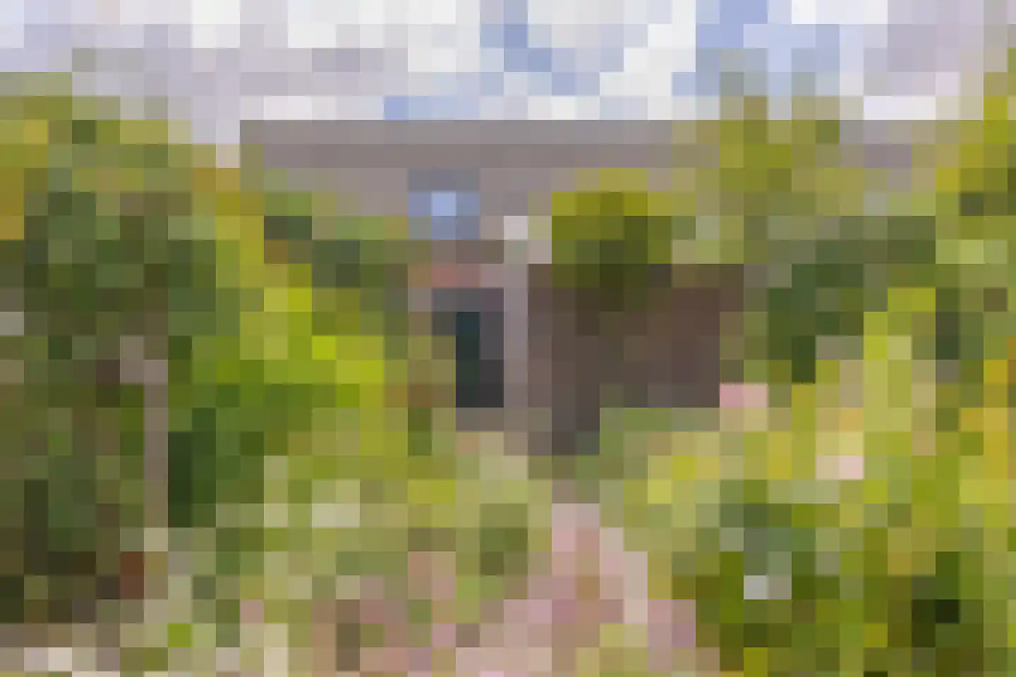 Oud Arnemuidsvoetpad 36 Middelburg thumbnail 23