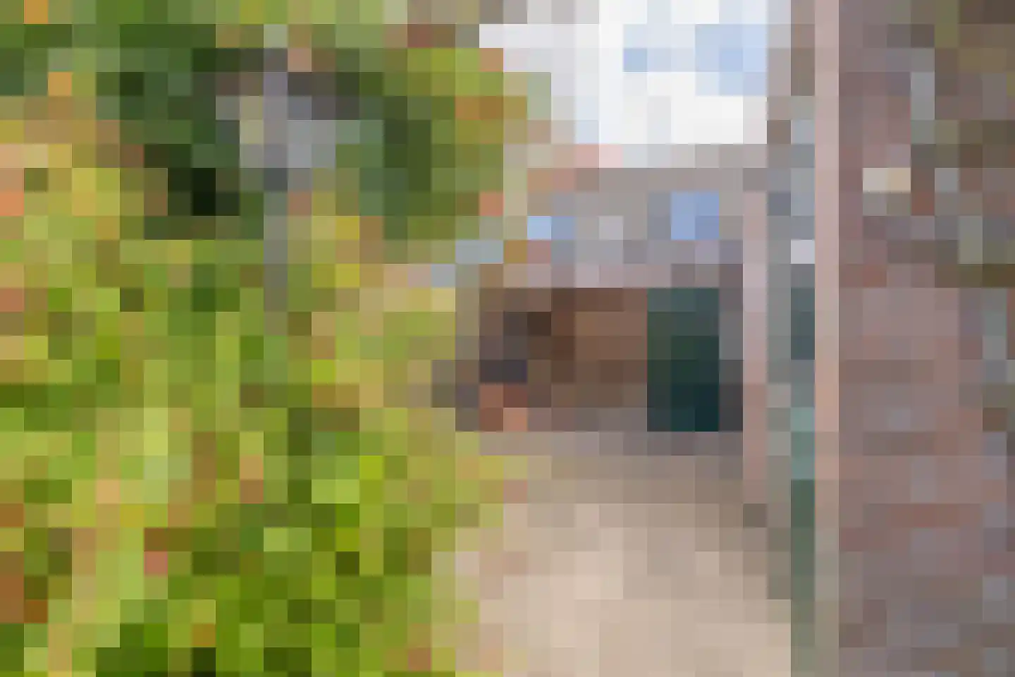 Oud Arnemuidsvoetpad 36 Middelburg thumbnail 24