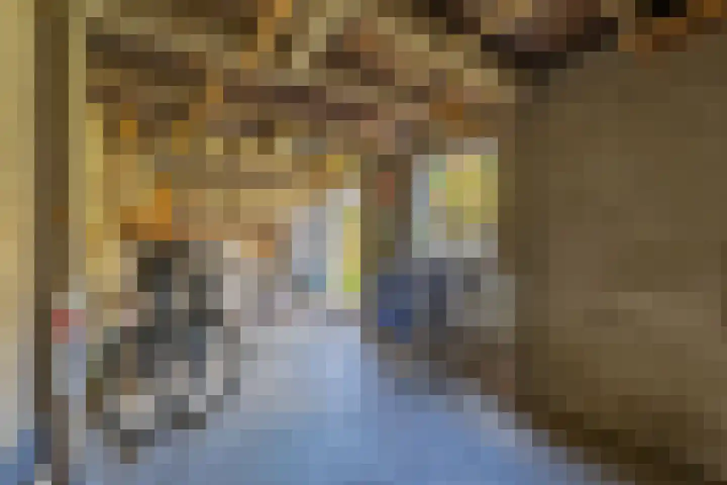 Oud Arnemuidsvoetpad 36 Middelburg thumbnail 26