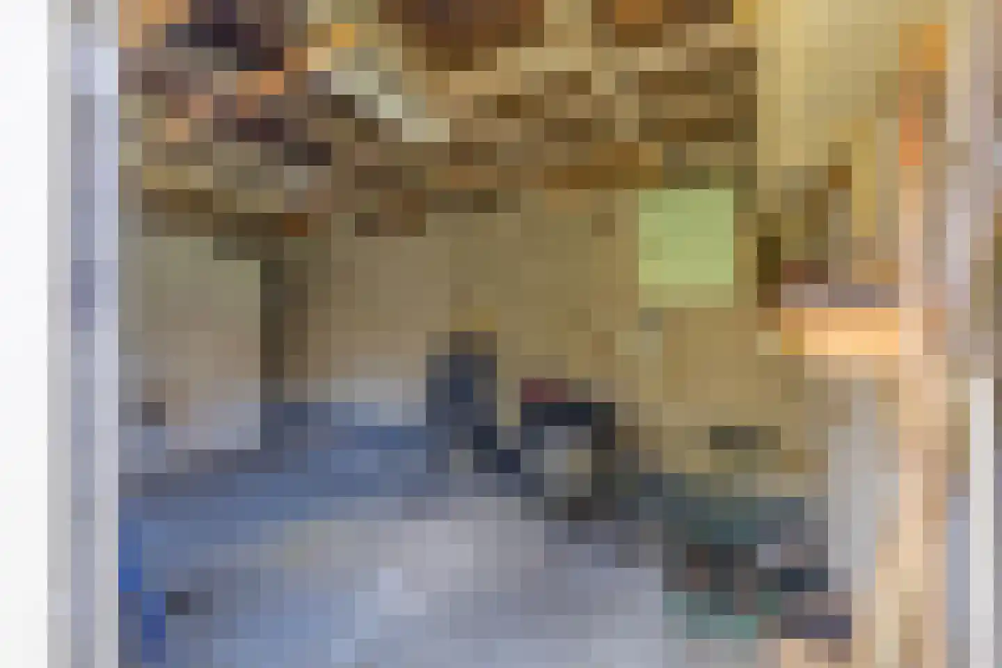 Oud Arnemuidsvoetpad 36 Middelburg thumbnail 27