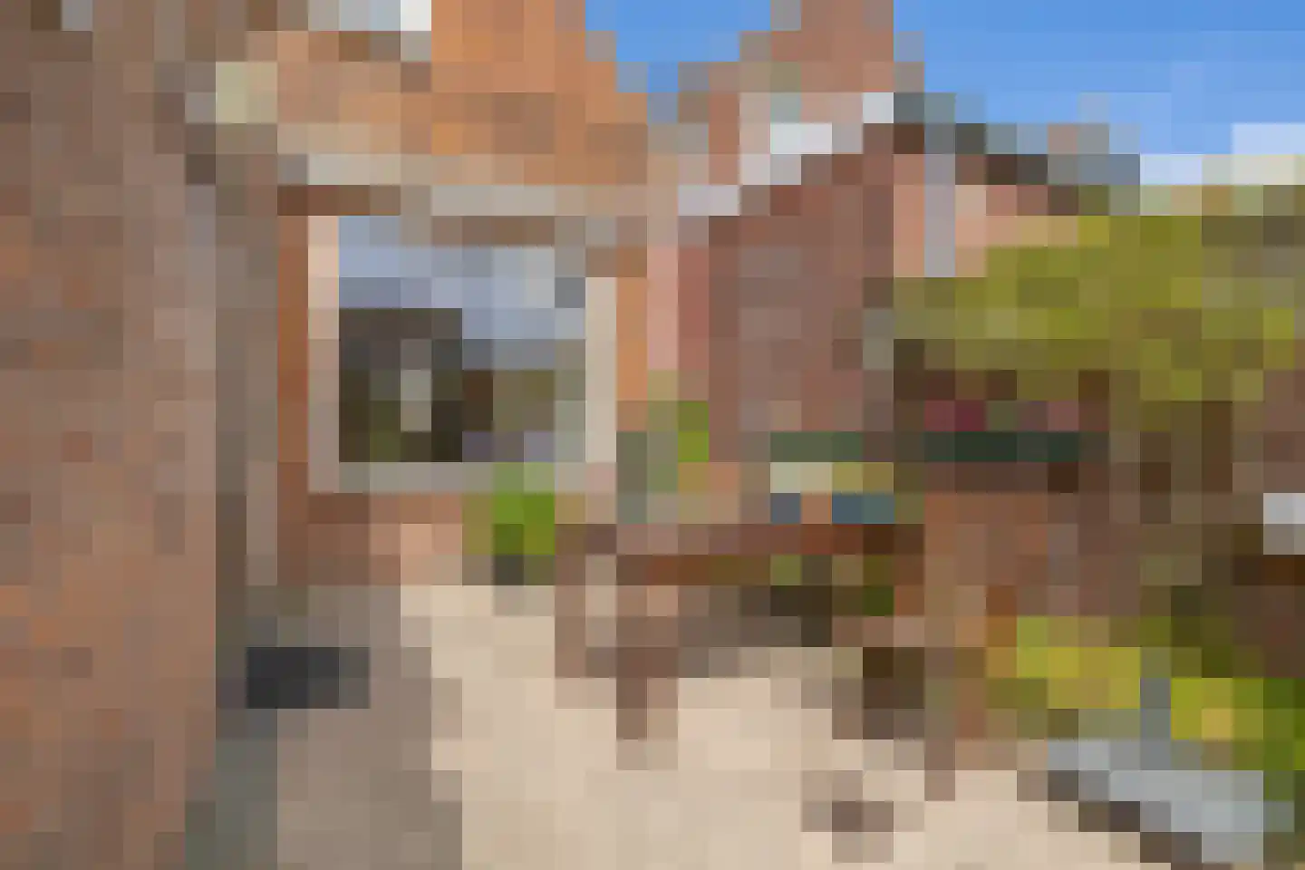 Oud Arnemuidsvoetpad 36 Middelburg thumbnail 30