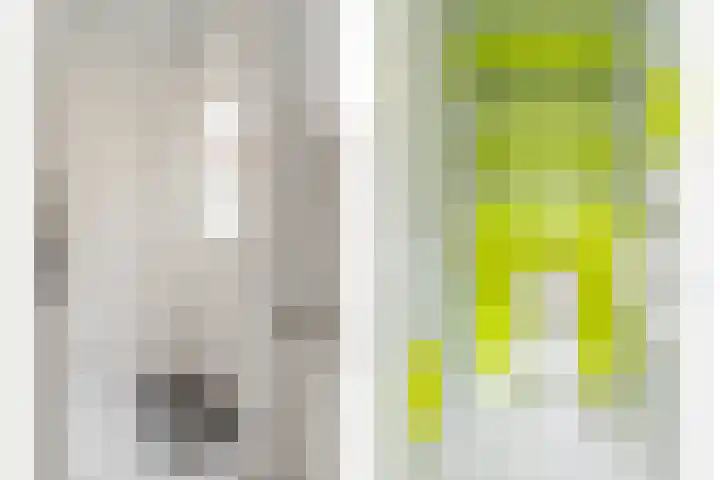 Oud Arnemuidsvoetpad 6 Middelburg thumbnail 16