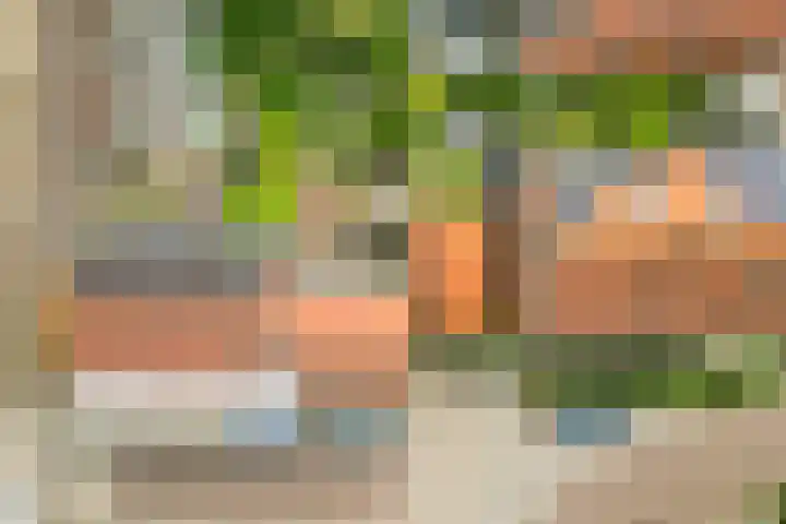 Oud Arnemuidsvoetpad 6 Middelburg thumbnail 32