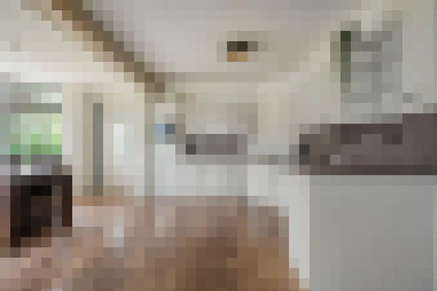 Oud Avereest 2 Balkbrug thumbnail 11