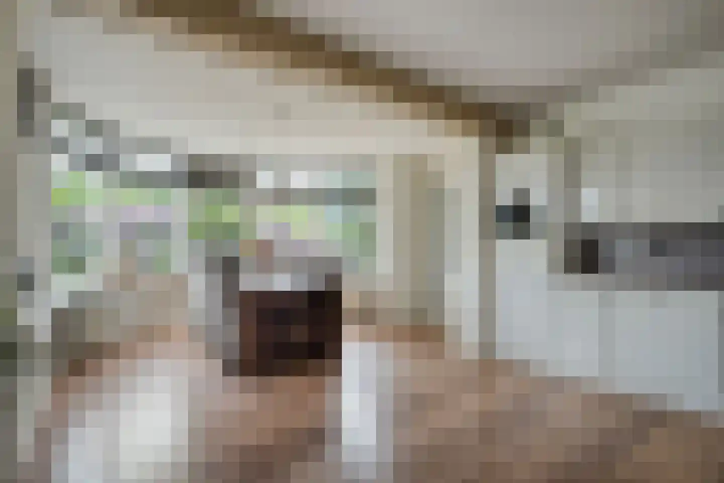 Oud Avereest 2 Balkbrug thumbnail 13