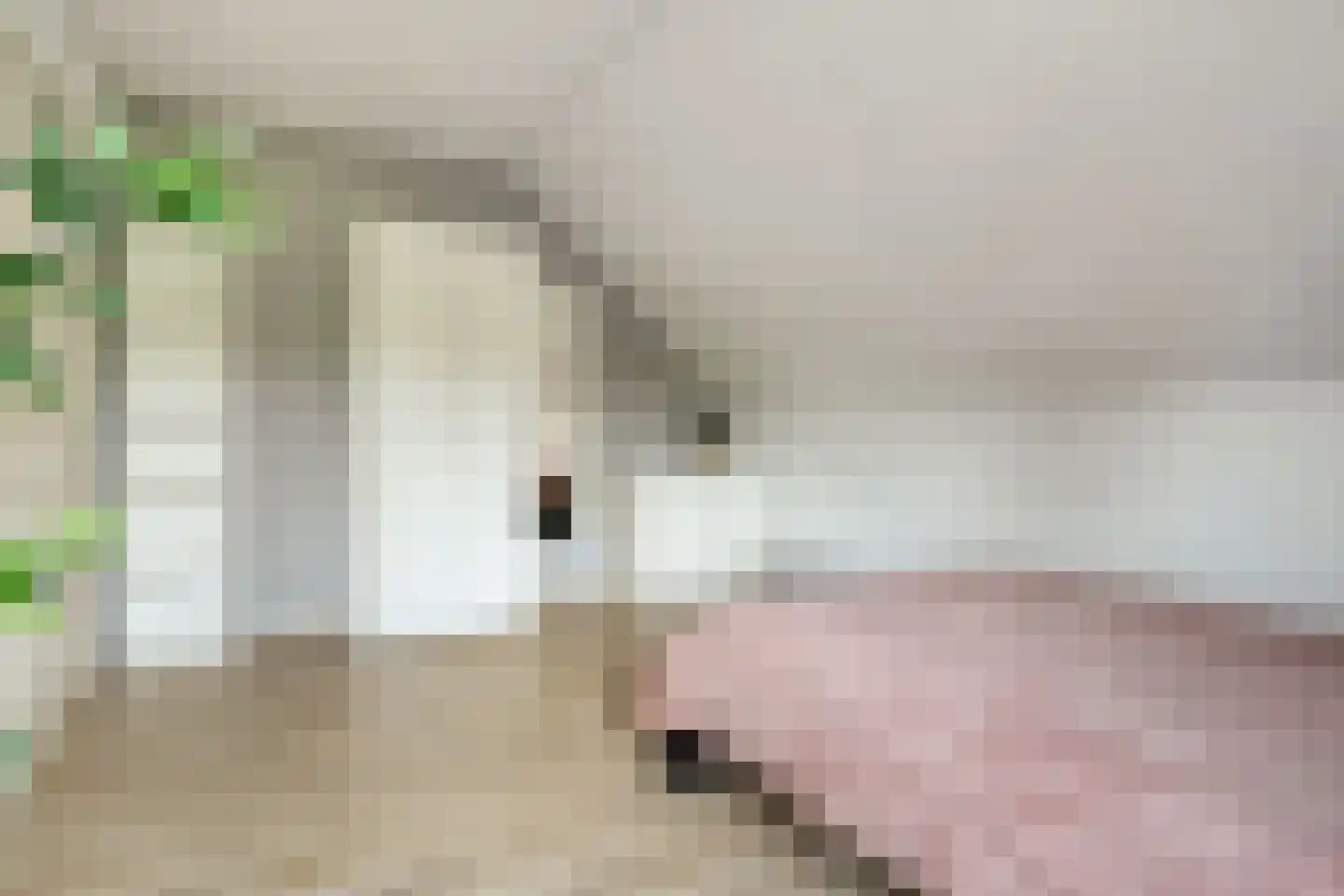 Oud Avereest 2 Balkbrug thumbnail 23