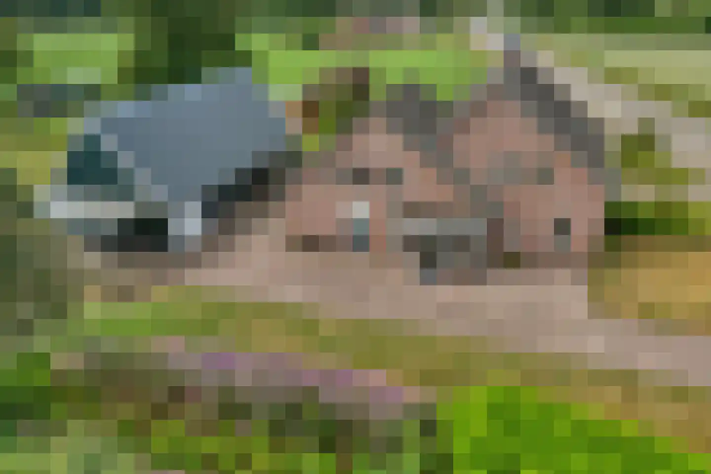 Oud Avereest 2 Balkbrug thumbnail 30