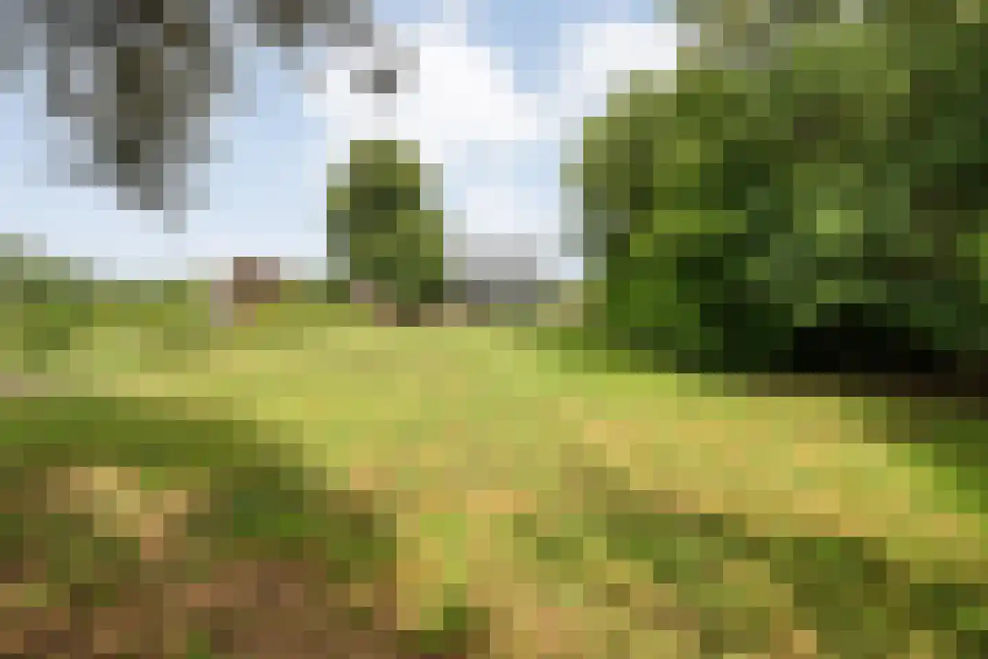 Oud Avereest 2 Balkbrug thumbnail 35