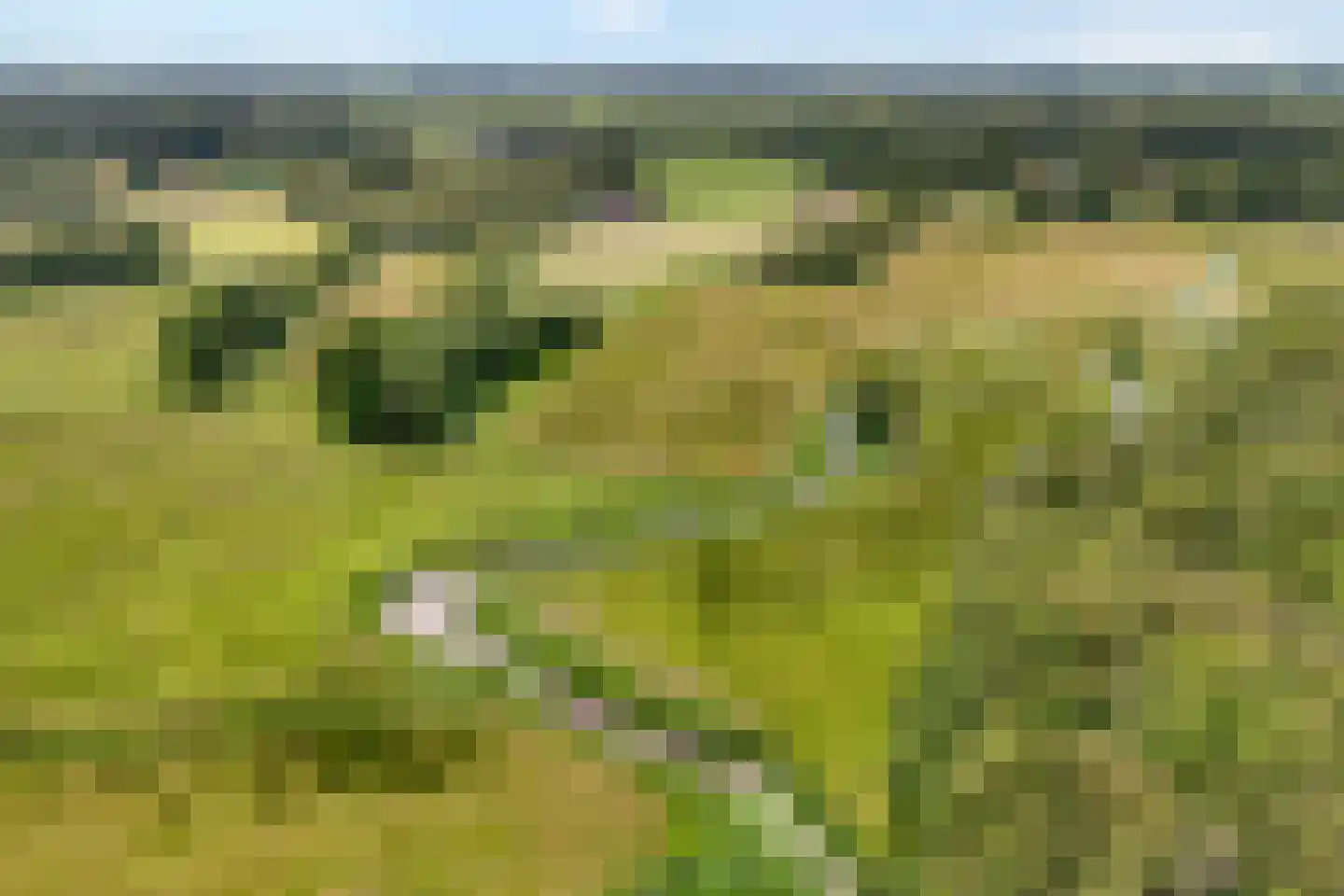 Oud Avereest 2 Balkbrug thumbnail 45