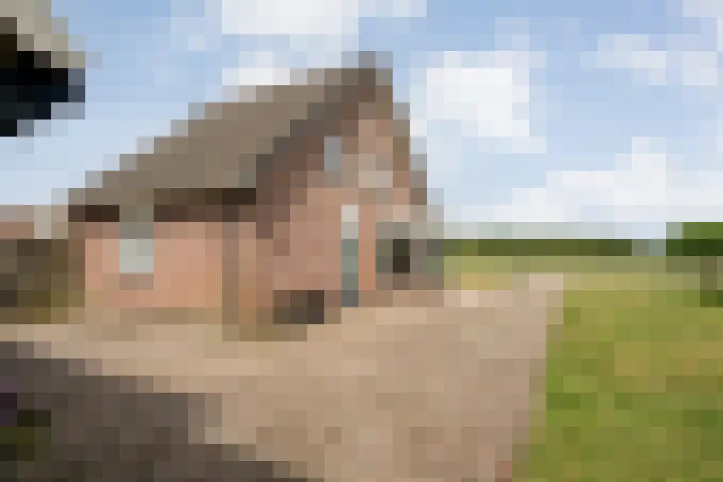 Oud Avereest 2 Balkbrug thumbnail 5