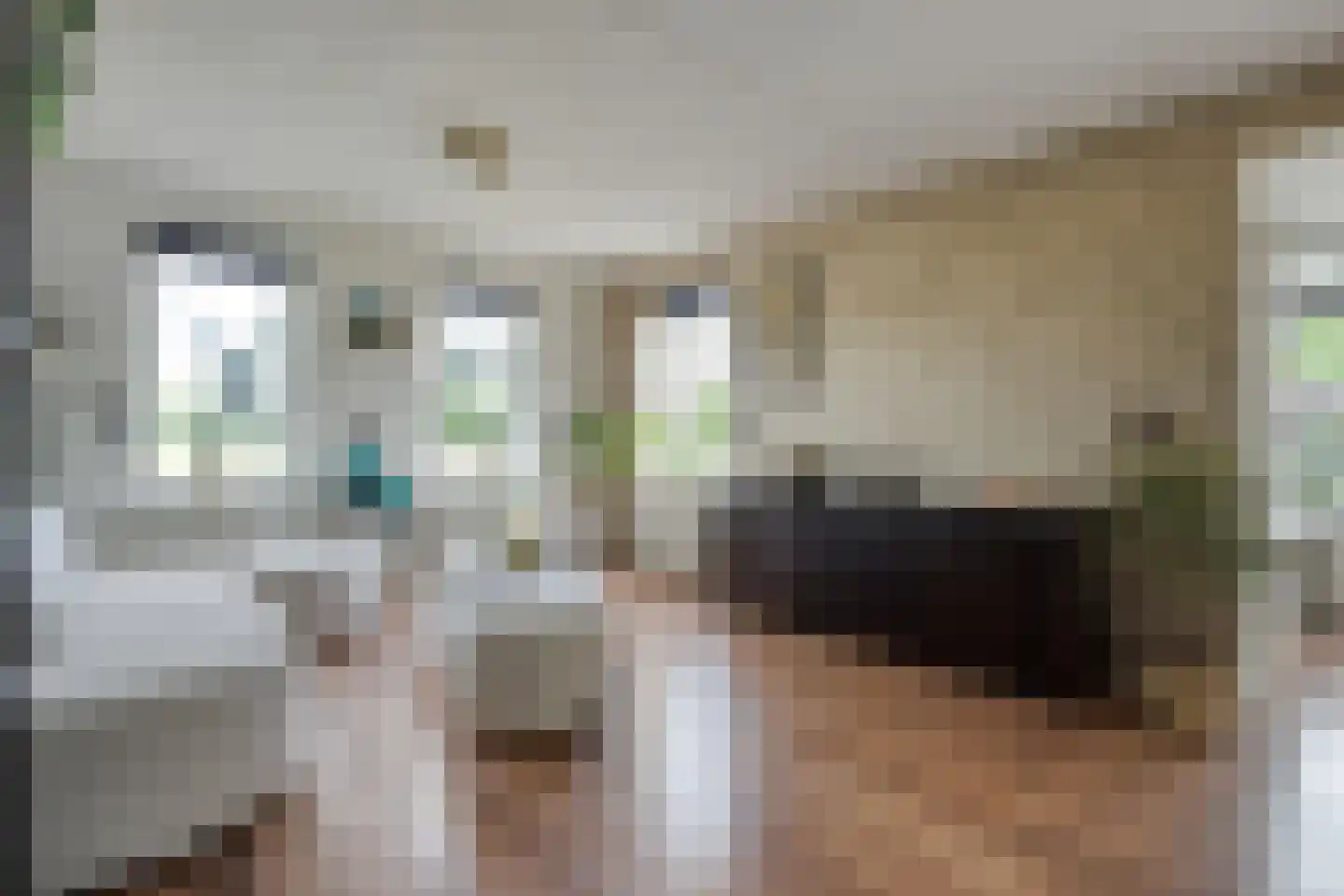 Oud Avereest 2 Balkbrug thumbnail 8