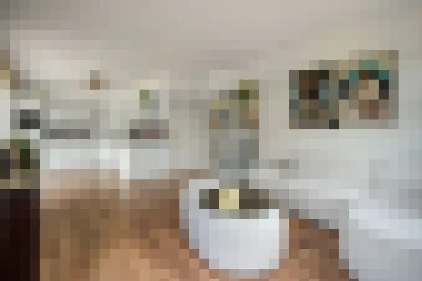 Oud Avereest 2 Balkbrug thumbnail 9