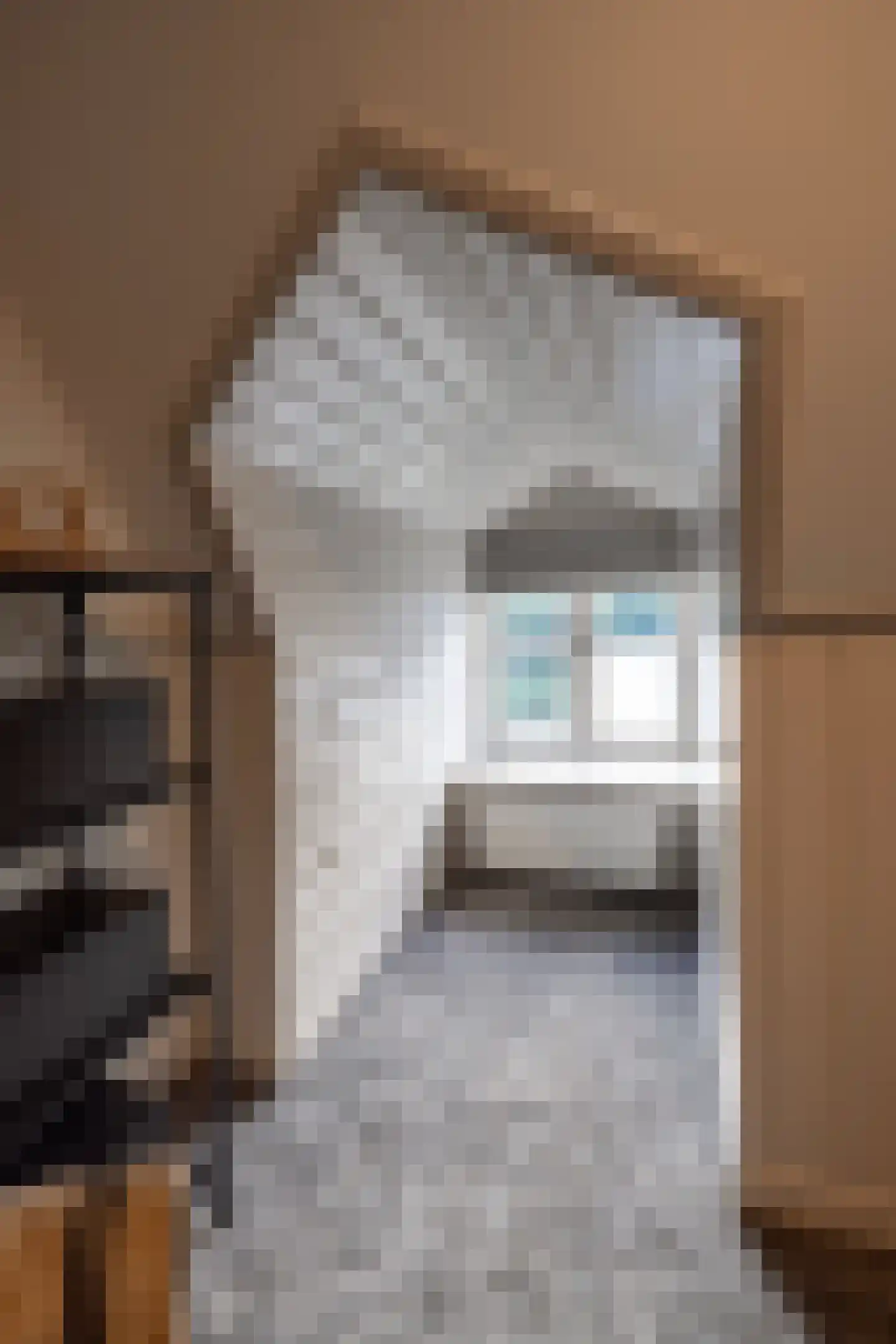 Oud Avereest 3 Balkbrug thumbnail 45