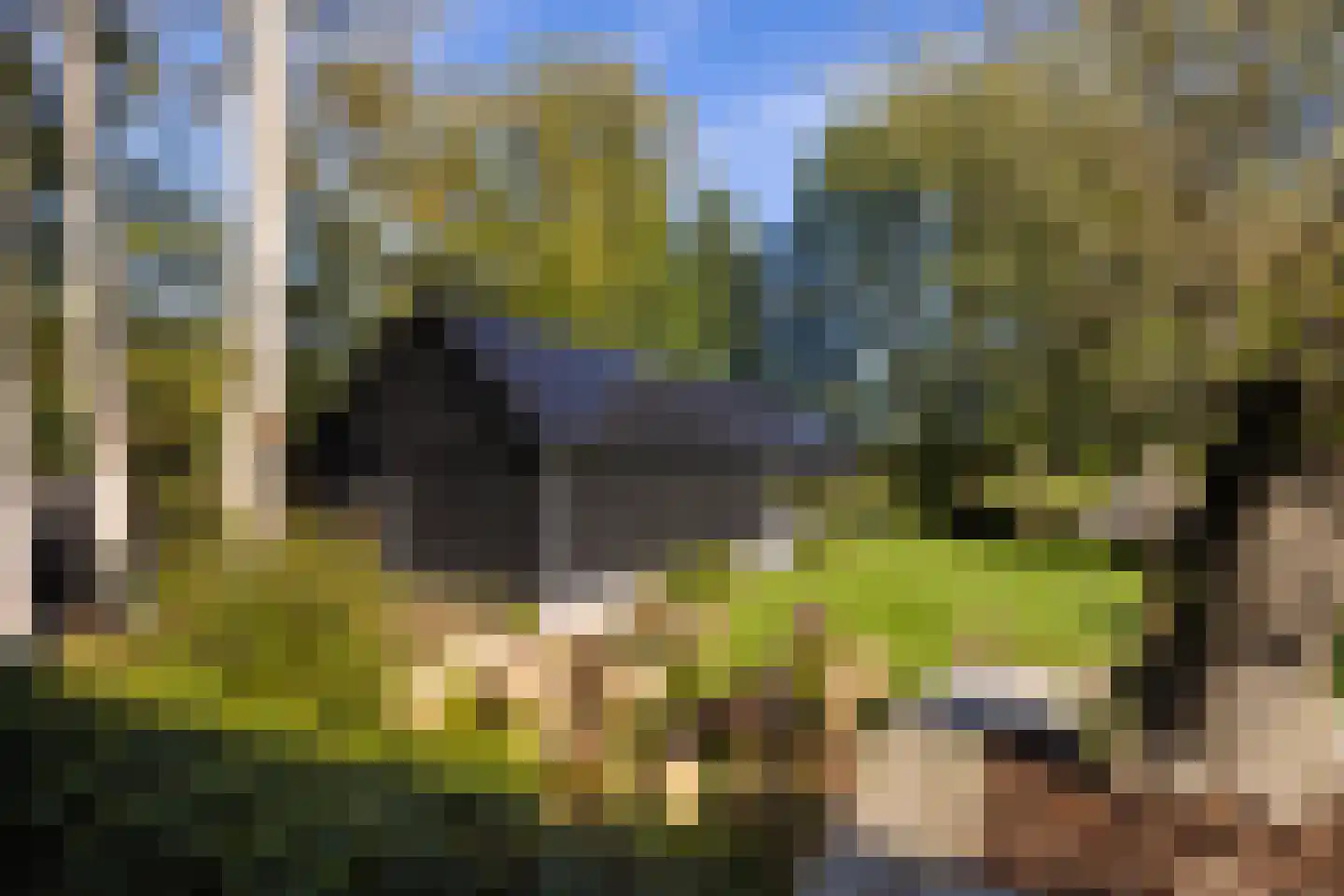 Oud Avereest 3 Balkbrug thumbnail 51