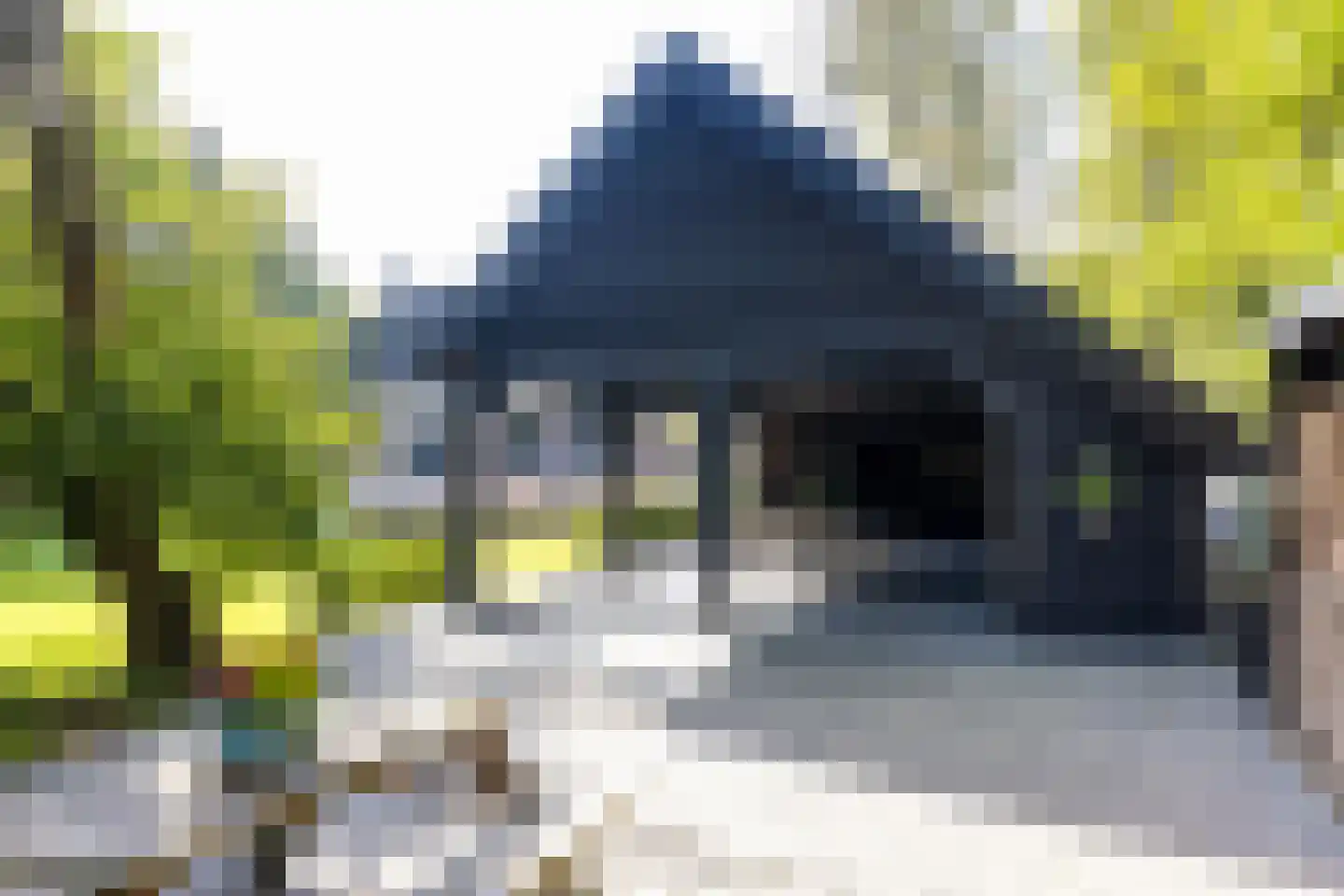 Oud Avereest 3 Balkbrug thumbnail 56