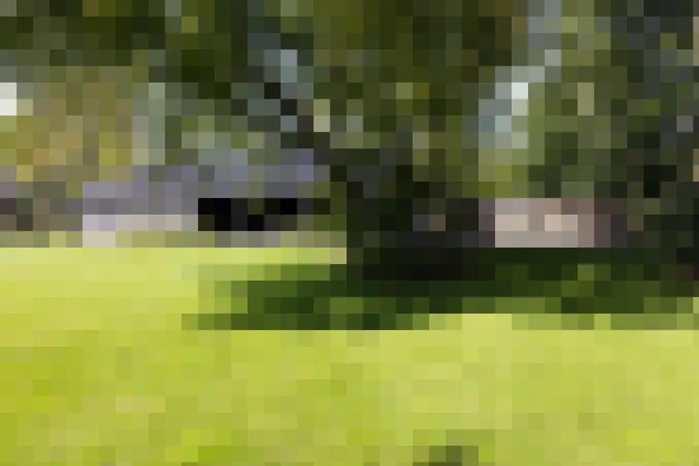 Oud Avereest 3 Balkbrug thumbnail 57