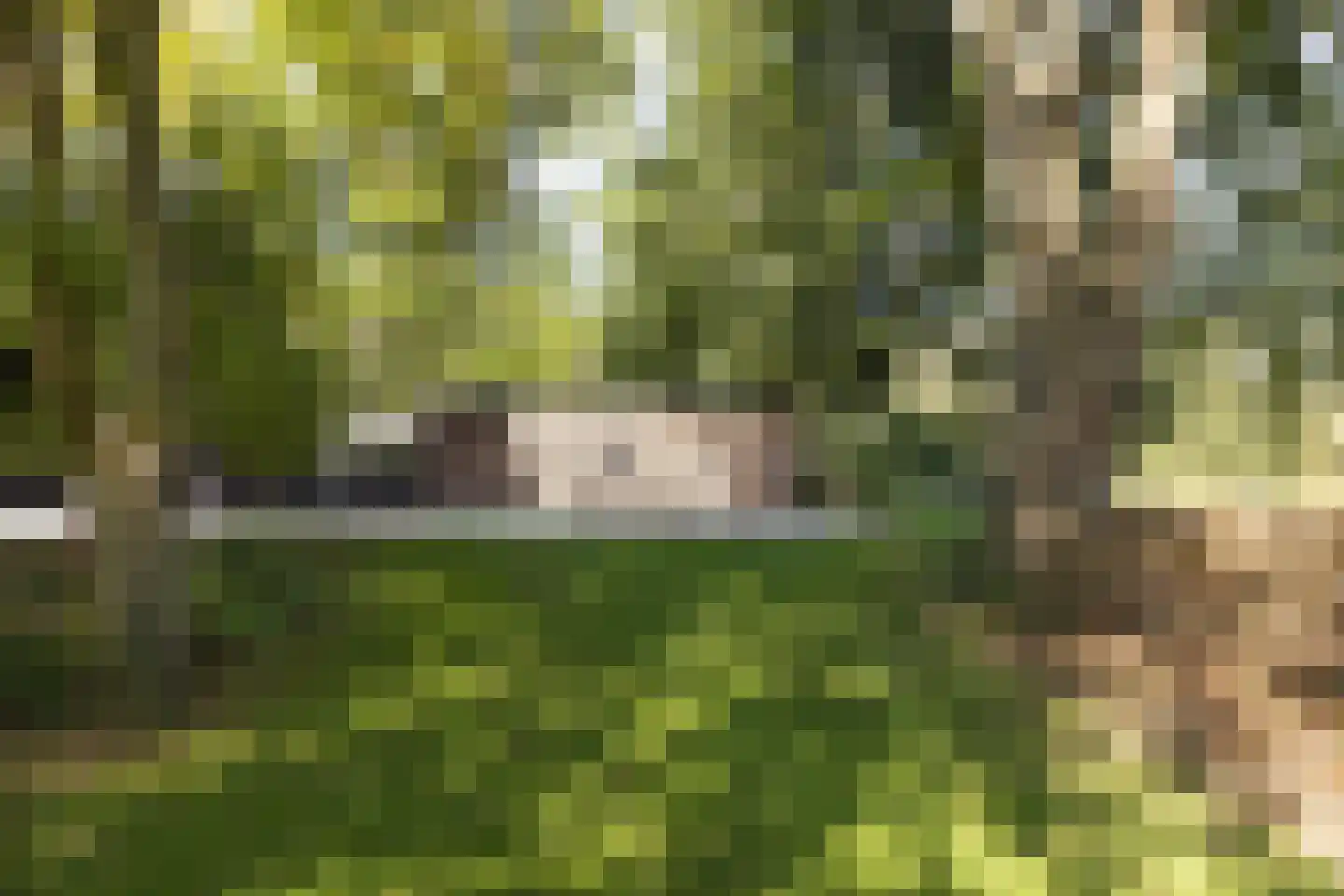 Oud Avereest 3 Balkbrug thumbnail 58