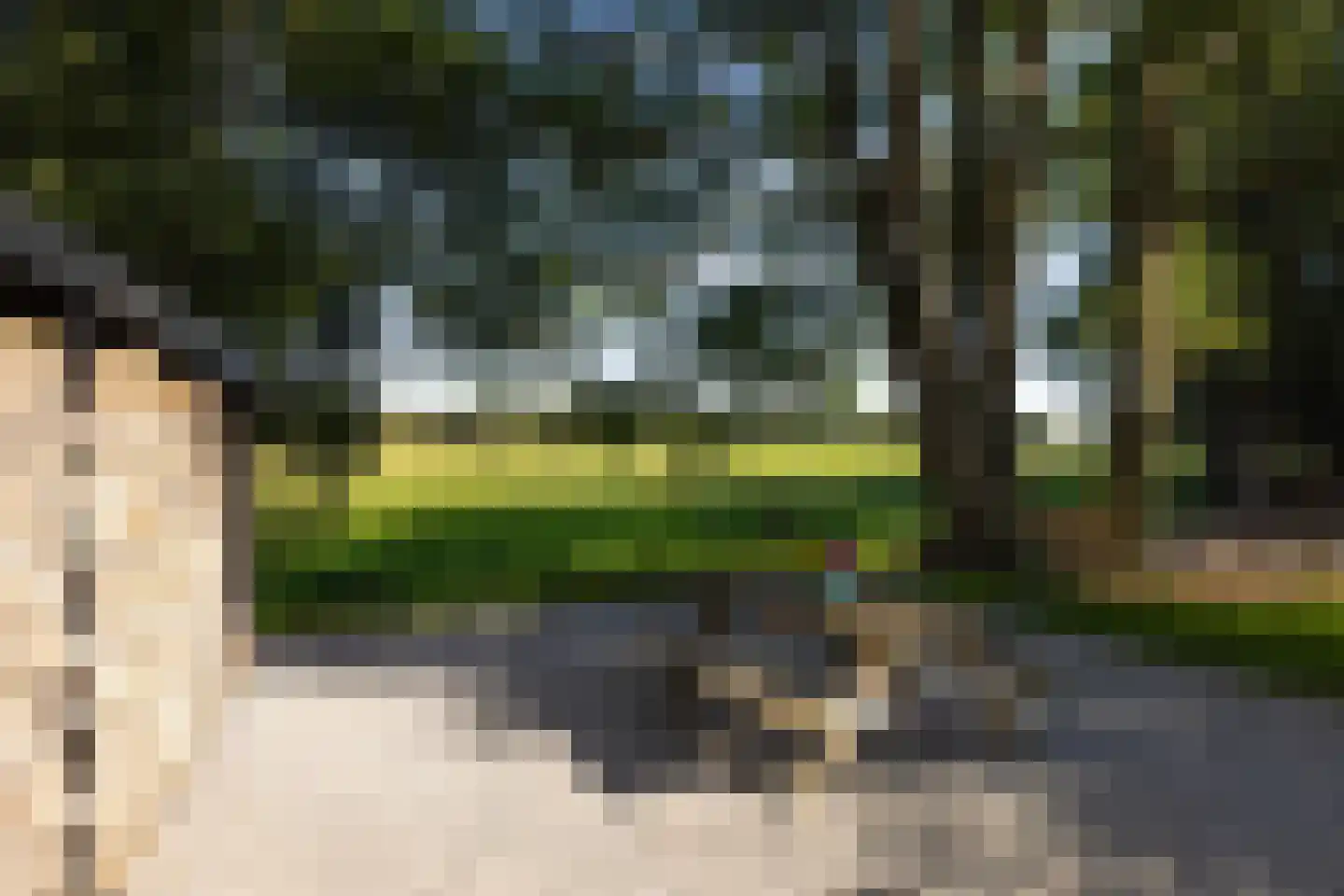 Oud Avereest 3 Balkbrug thumbnail 59