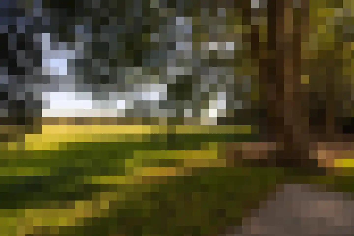 Oud Avereest 3 Balkbrug thumbnail 60