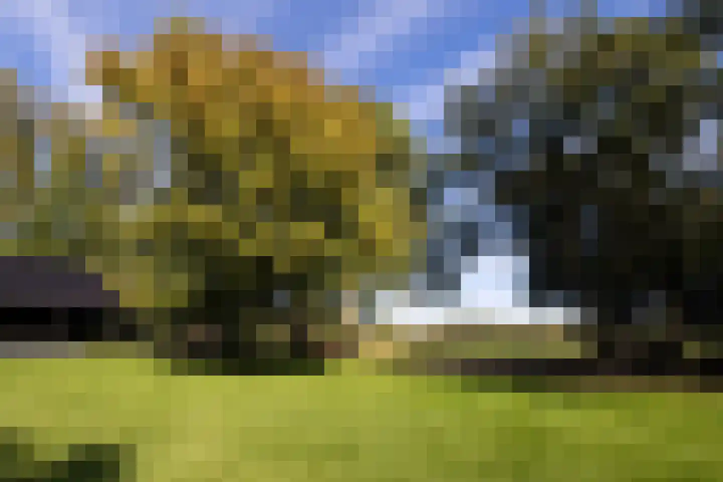 Oud Avereest 3 Balkbrug thumbnail 61