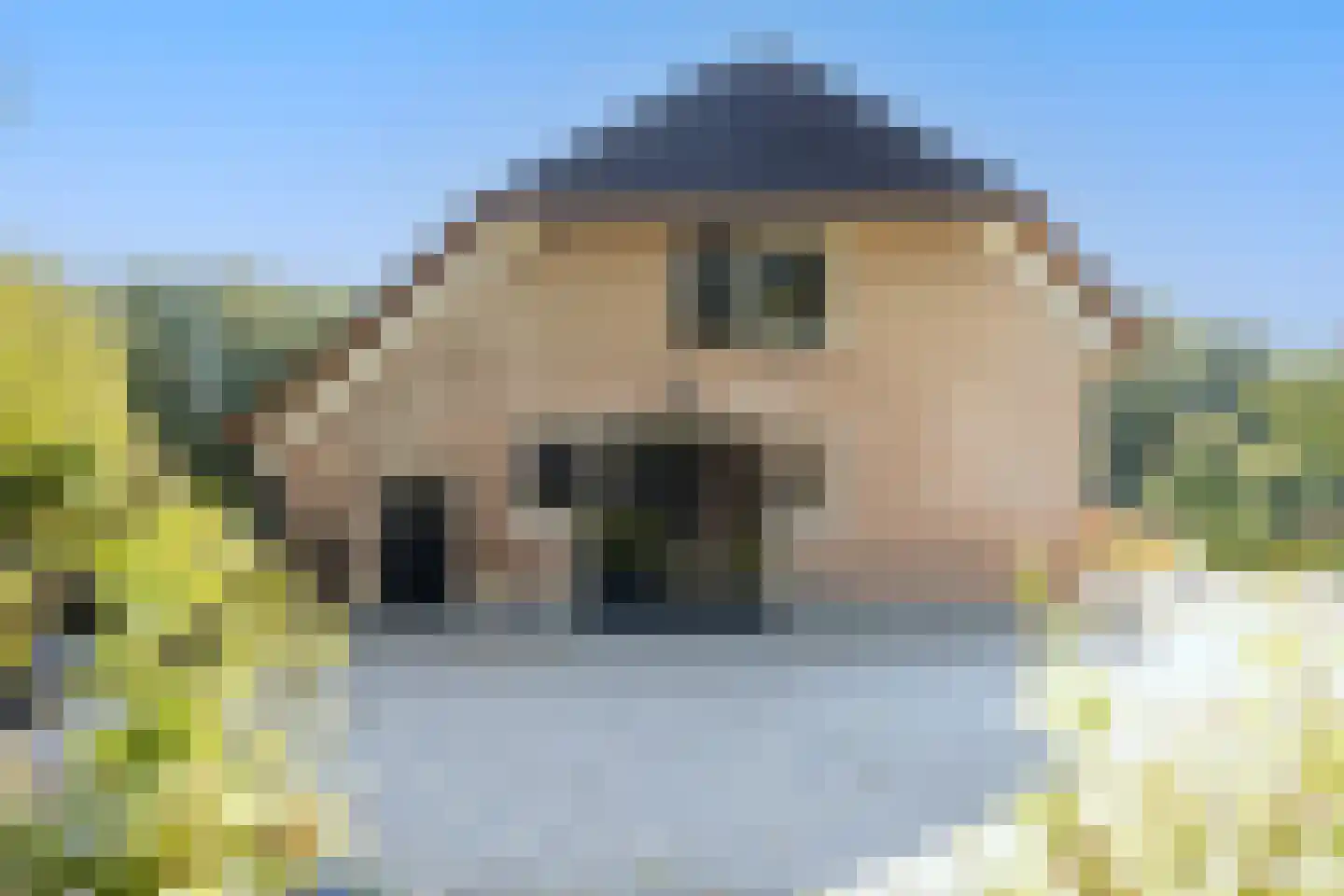 Oud Avereest 3 Balkbrug thumbnail 67