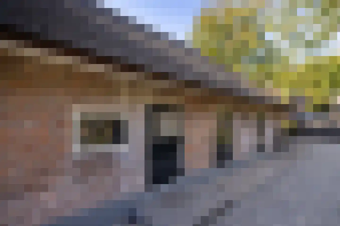 Oud Avereest 3 Balkbrug thumbnail 69