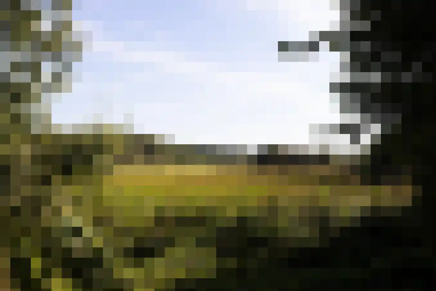 Oud Avereest 3 Balkbrug thumbnail 70