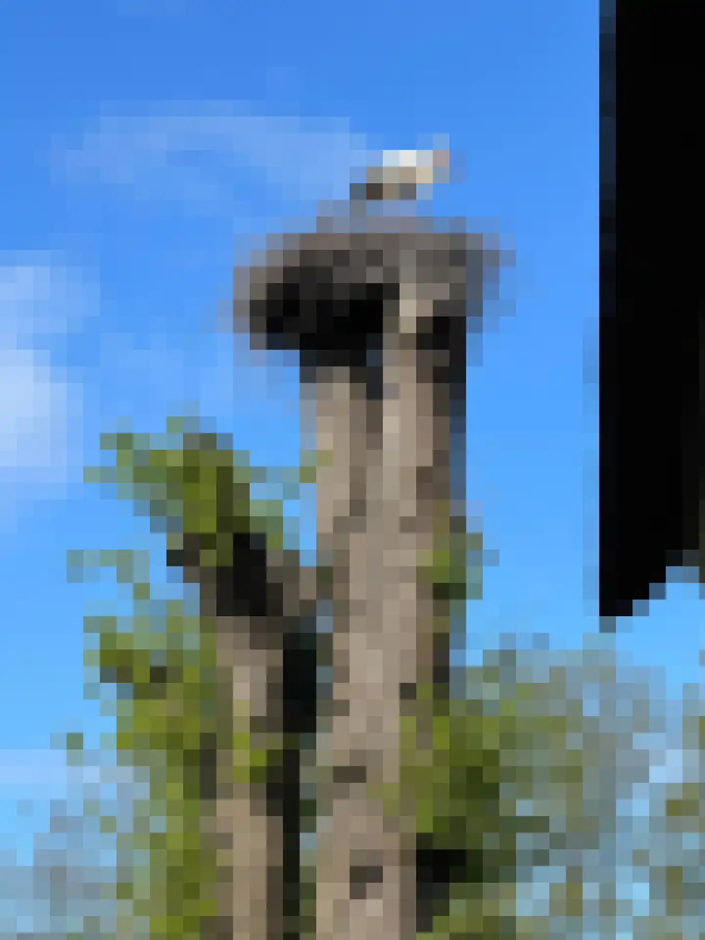 Oud Avereest 3 Balkbrug thumbnail 73