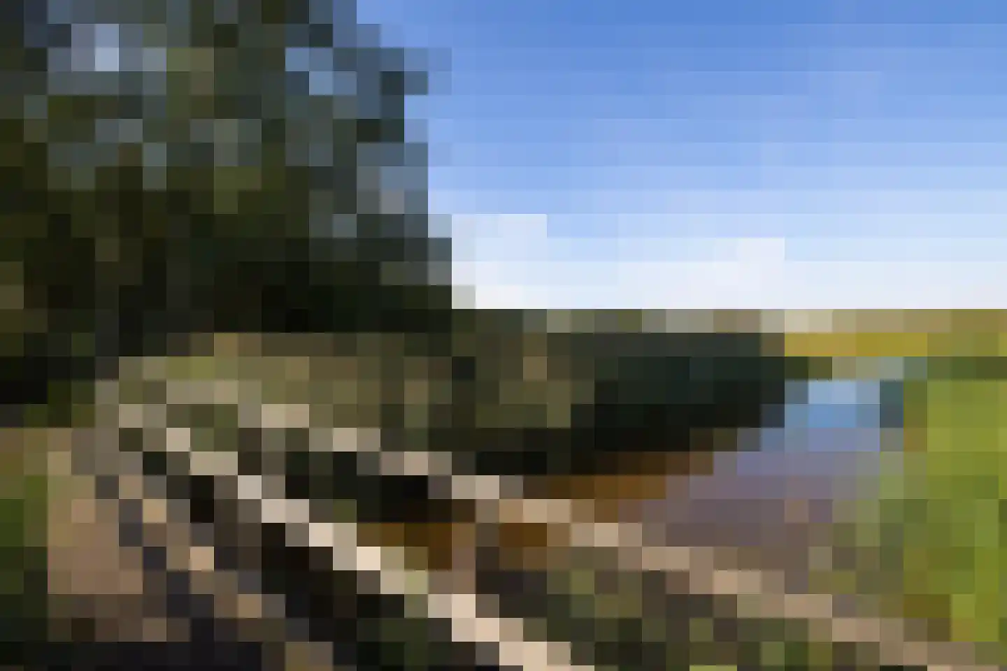 Oud Avereest 3 Balkbrug thumbnail 74