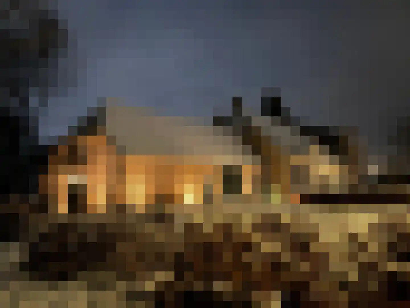 Oud Avereest 3 Balkbrug thumbnail 76