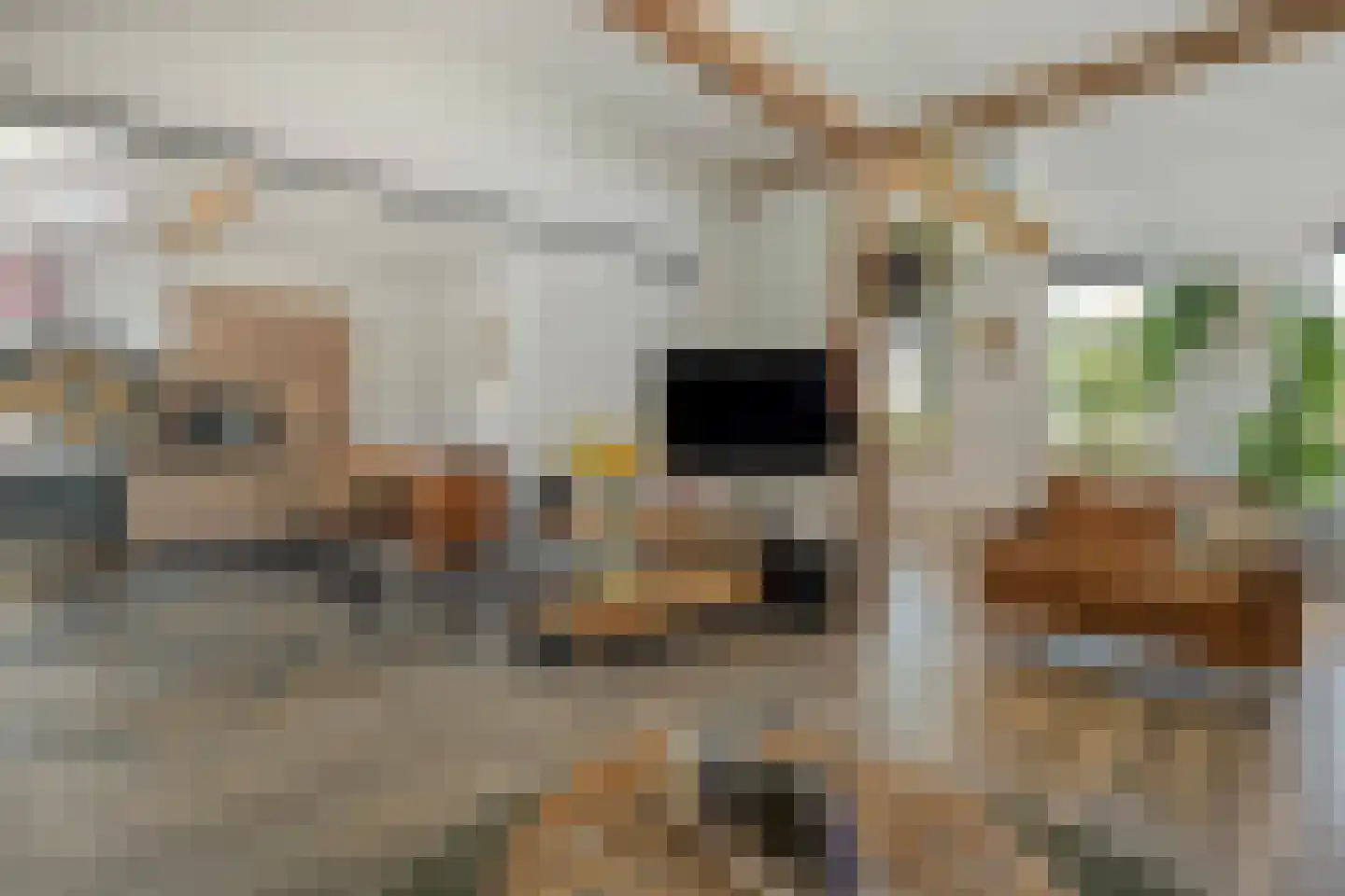 Oud Avereest 44 Balkbrug thumbnail 12