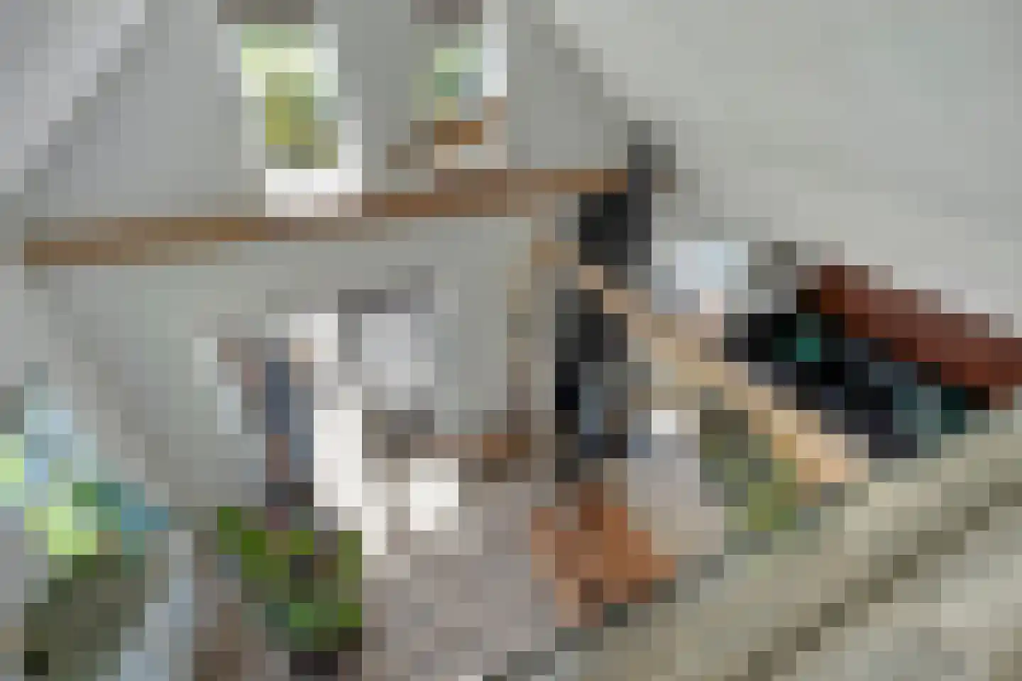 Oud Avereest 44 Balkbrug thumbnail 13