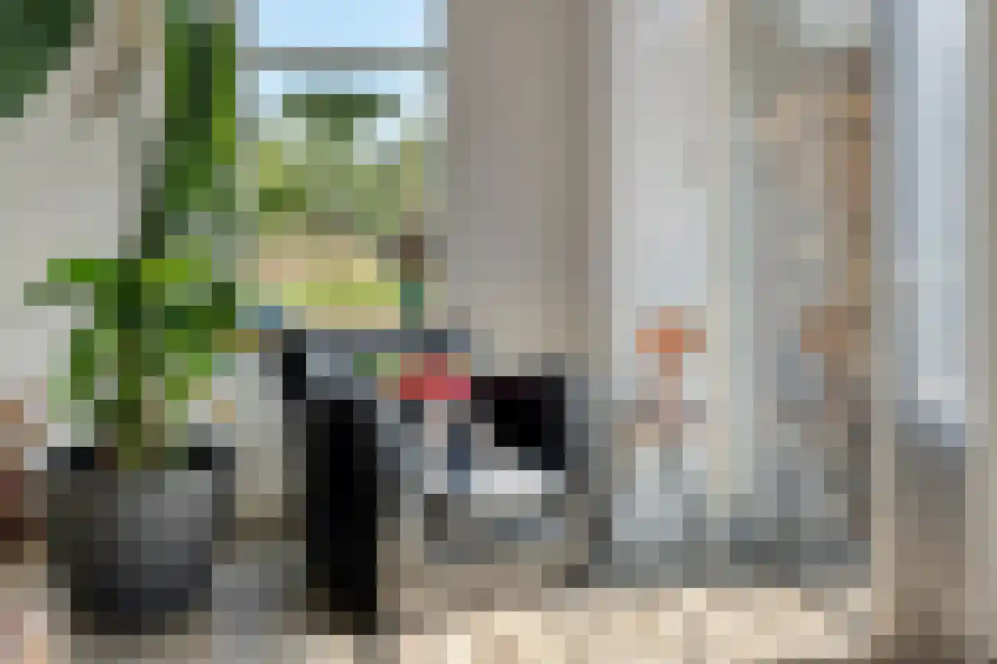 Oud Avereest 44 Balkbrug thumbnail 17