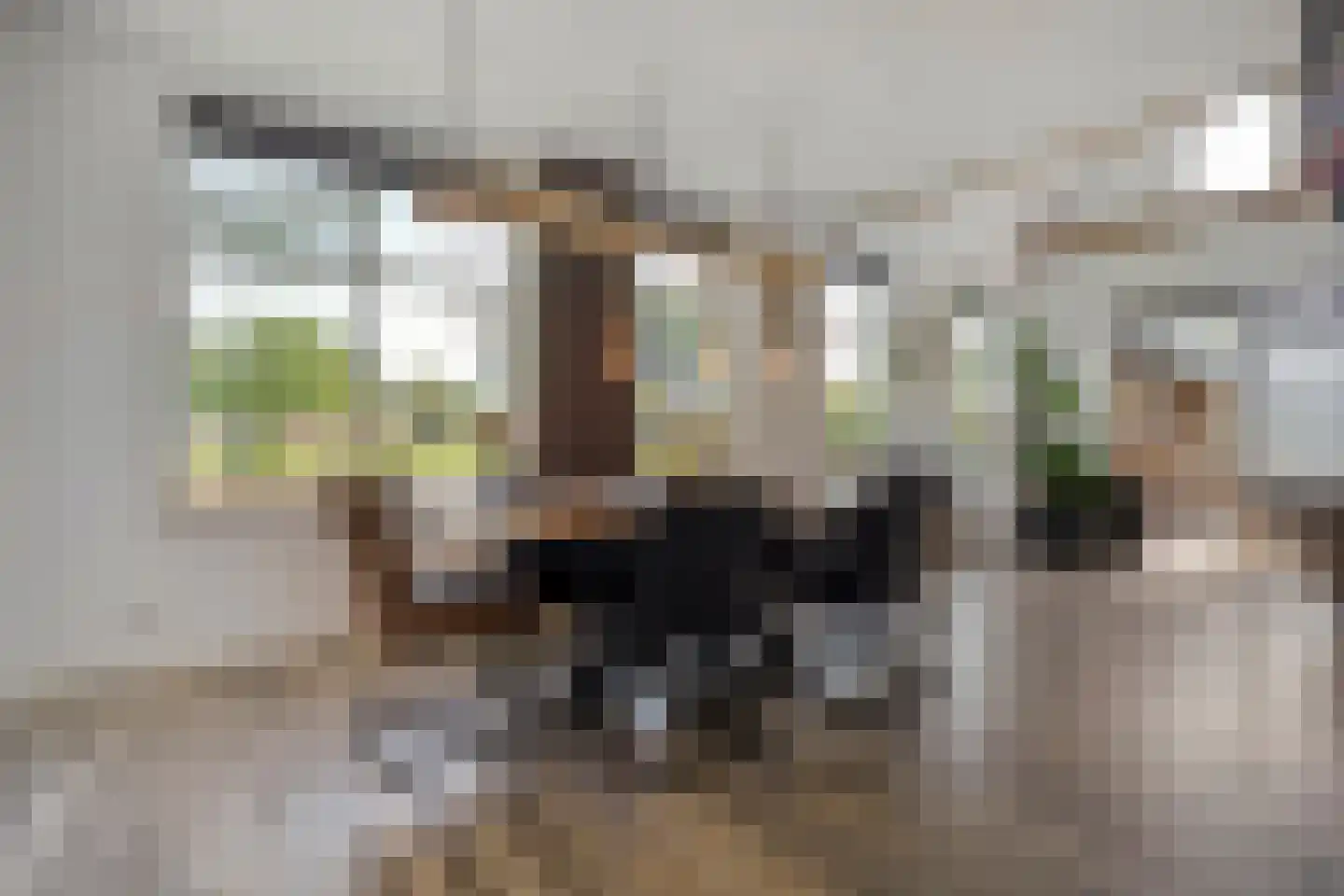 Oud Avereest 44 Balkbrug thumbnail 18