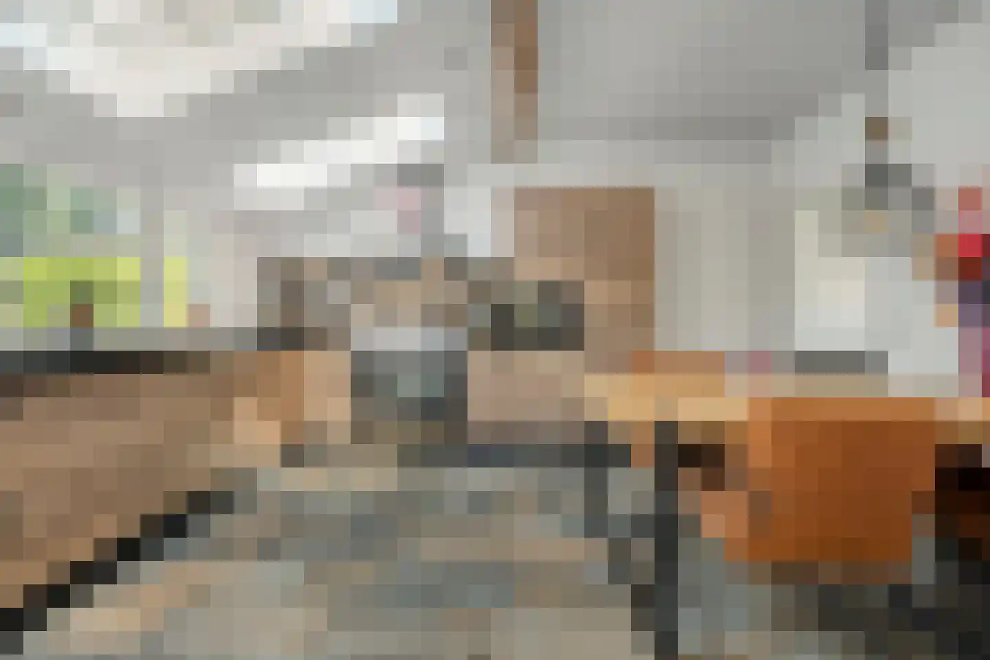 Oud Avereest 44 Balkbrug thumbnail 21