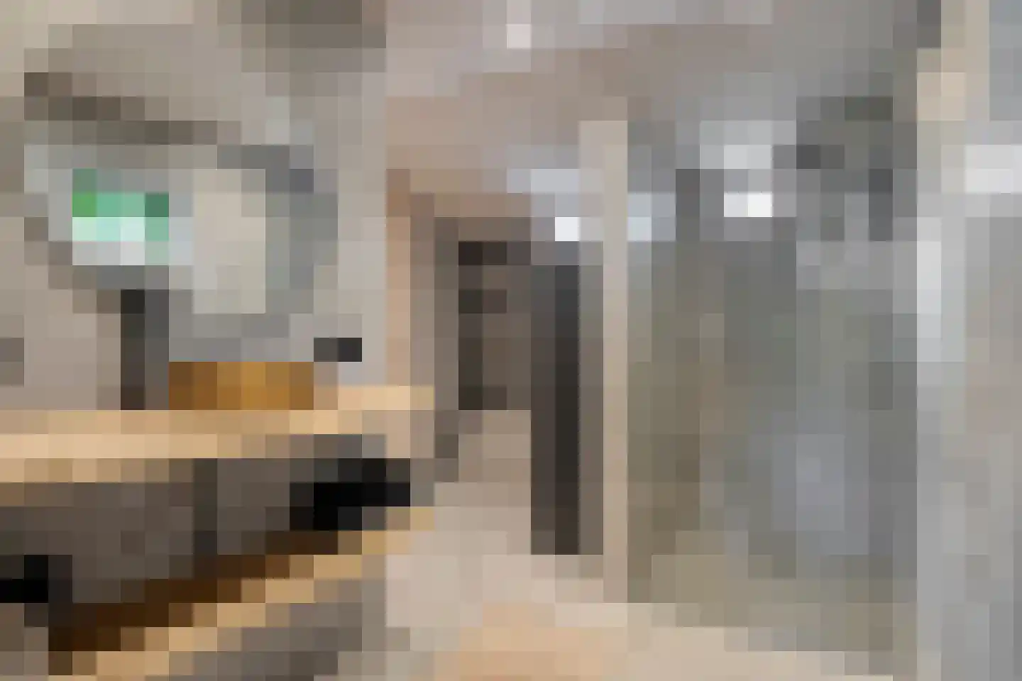 Oud Avereest 44 Balkbrug thumbnail 31