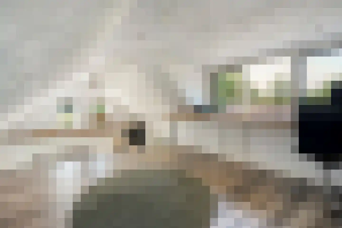 Oud Avereest 44 Balkbrug thumbnail 34