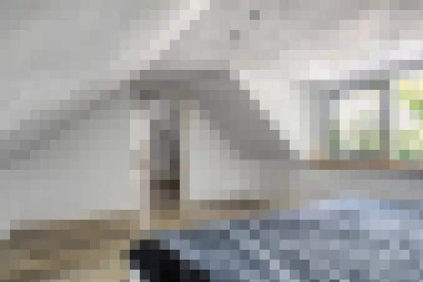 Oud Avereest 44 Balkbrug thumbnail 38